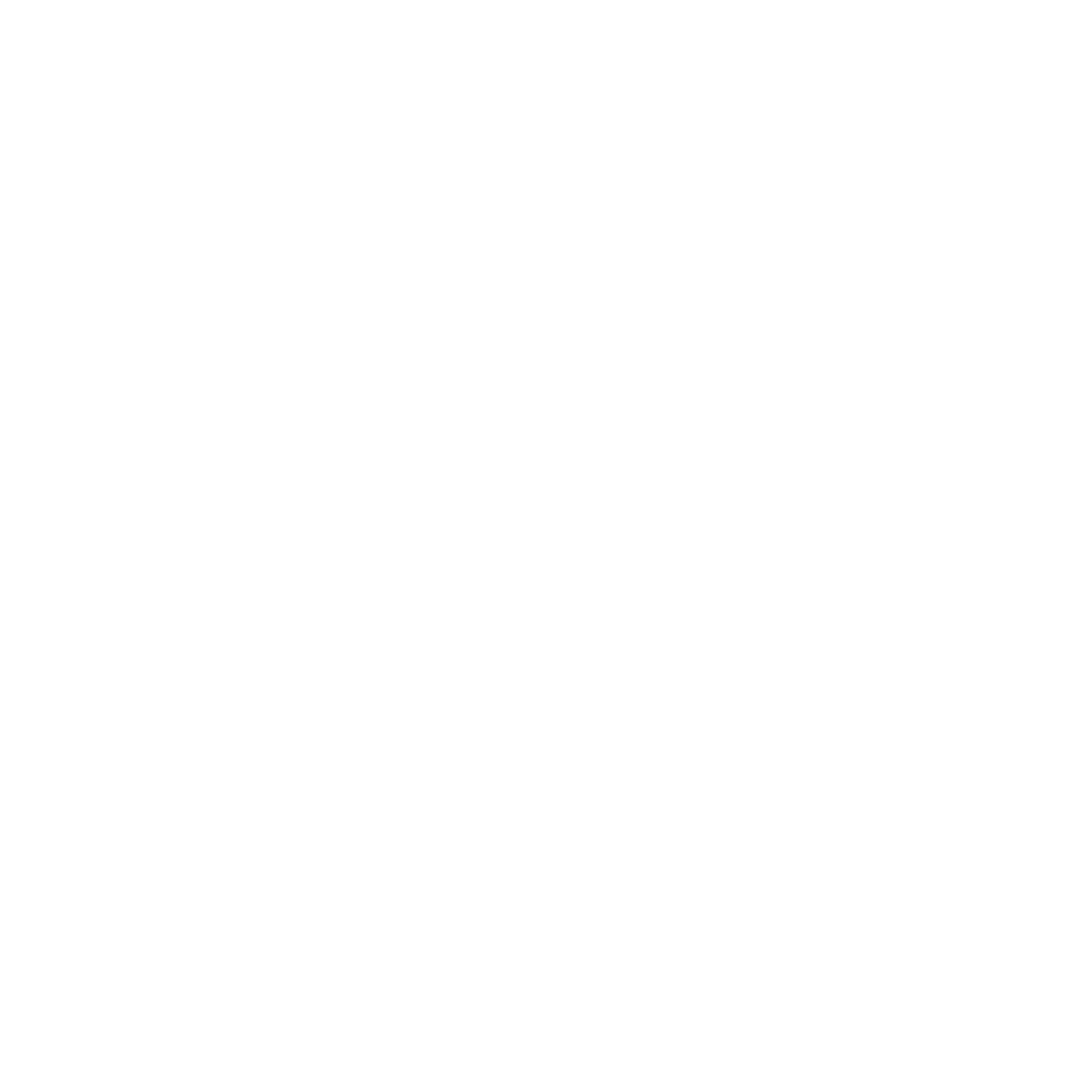 vimeo-icon-white